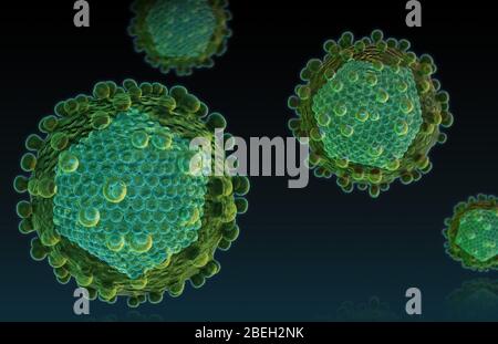 Virus dell'epatite C. Foto Stock