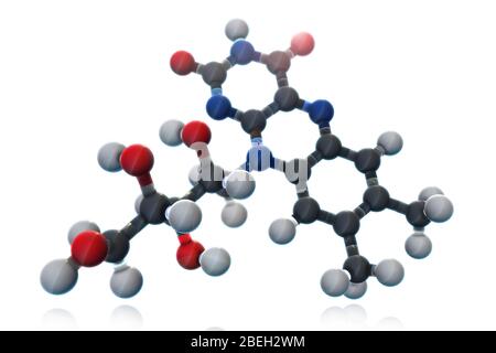 Vitamina B2, modello molecolare Foto Stock