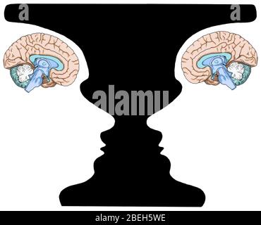 Illustrazione concettuale di Rubin Vase e Cervelloni Foto Stock