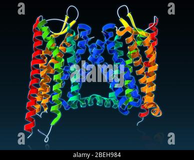 Recettore oppioide Kappa, modello molecolare Foto Stock