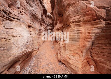 Slot Canyon nel Valley of Fire state Park Foto Stock