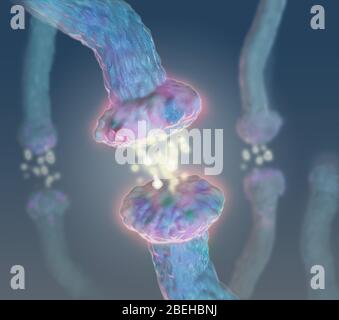 Neurotrasmettitori, illustrazione Foto Stock