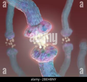 Neurotrasmettitori, illustrazione Foto Stock