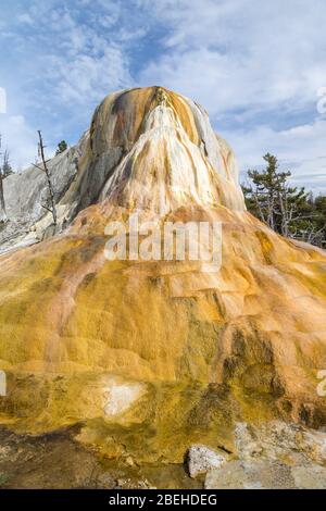 Il tumulo di Orange Spring nel Parco Nazionale di Yellowstone Foto Stock