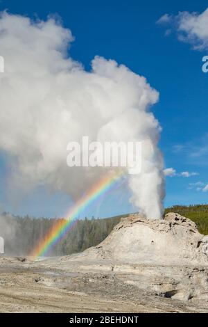 Geyser del castello eruttando con l'arcobaleno a Yellowstone Foto Stock