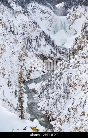 Cascate inferiori della Yellowstone durante l'inverno nel Parco Nazionale di Yellowstone Foto Stock