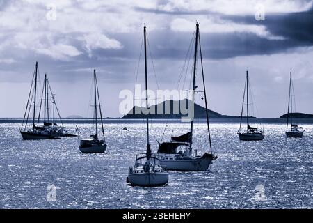 Yachts a Charlotte Amalie, St. Thomas, Isole Vergini degli Stati Uniti, Caraibi Foto Stock