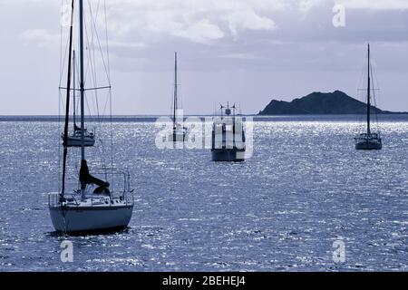 Yachts a Charlotte Amalie, St. Thomas, Isole Vergini degli Stati Uniti, Caraibi Foto Stock