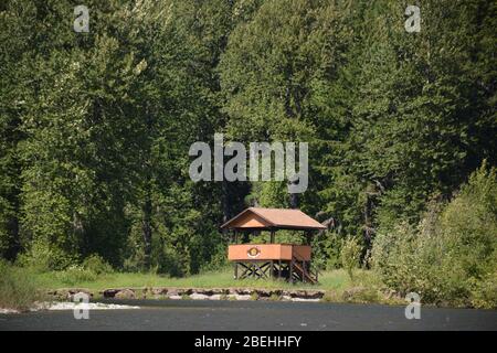 Sul fiume Atnarko nel Tweedsmuir South Provincial Park, British Columbia, Canada Foto Stock