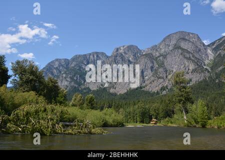 Sul fiume Atnarko nel Tweedsmuir South Provincial Park, British Columbia, Canada Foto Stock