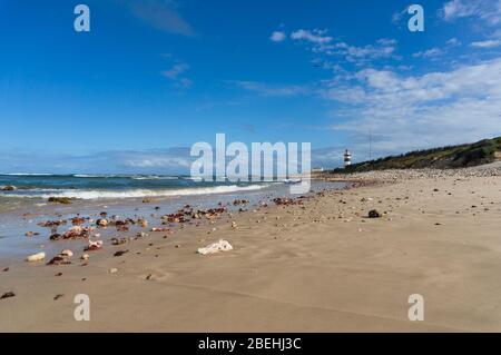 Panorama vista oceano con spiaggia di sabbia e faro in lontananza. Bella costa con conchiglie e coralli sulla sabbia e Capo Recife b Foto Stock