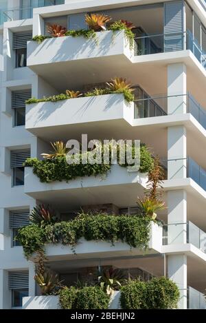 Alto edificio bianco con lussureggianti piante verdi. Giardino urbano sostenibile vivere Foto Stock