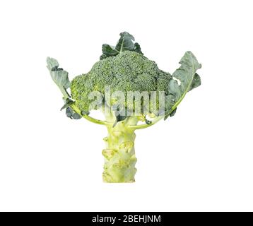 Broccoli o cavolfiori italiani disposti in verdure crocifere. Il nome scientifico Brassica oleracea var. Italica appartiene alla famiglia Crocifera Foto Stock