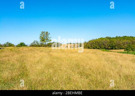 Vista su una splendida prateria ondulata nella zona Bluegrass del Kentucky Foto Stock