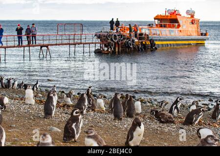 Barca ancorata alla costa dell'isola di Magdalena. Le navi sono l'unico modo per i turisti per raggiungere il monumento naturale dei pinguini, lo stretto di Magellan. Foto Stock