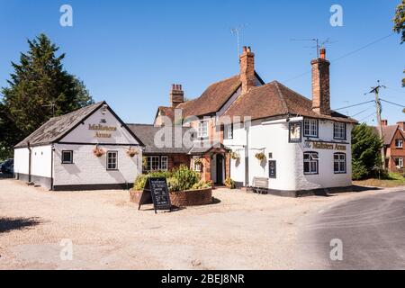 Maltsters Arms Public House, Henley-on-Thames, Oxfordshire, Inghilterra, GB, Regno Unito Foto Stock