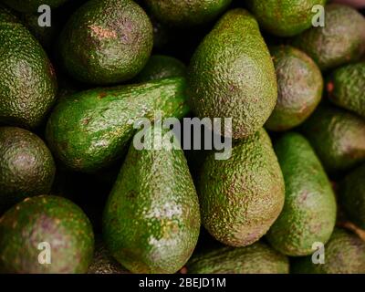 Avocado harverst primo piano. Avocado biologico fresco al mercato del contadino. Foto Stock