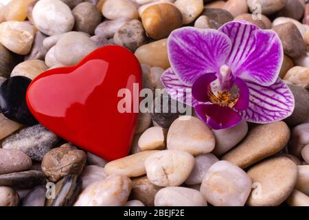 Ghiaia rossa a forma di cuore circondata da ciottoli e un unico fiore di orchidee Foto Stock
