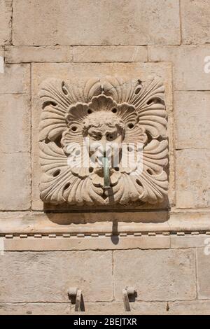 Incredibile fontana Onofriana gargoyle con beccuccio d'acqua dalla bocca la città vecchia di Dubrovnik Croazia acqua che scorre giù Foto Stock