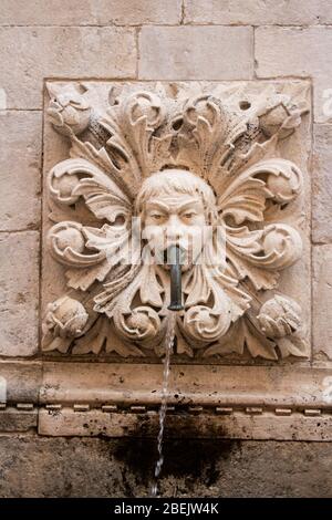 Incredibile fontana Onofriana gargoyle con beccuccio d'acqua dalla bocca la città vecchia di Dubrovnik Croazia acqua che scorre giù Foto Stock