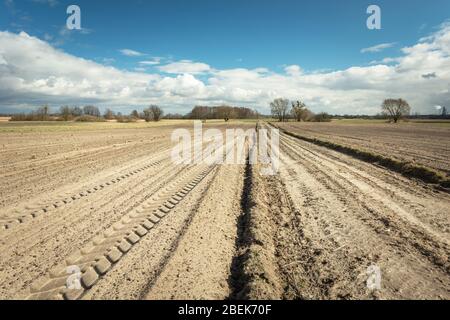 Tracce di ruote motrici su un campo arato, strada sterrata, orizzonte e nuvole bianche su un cielo blu Foto Stock