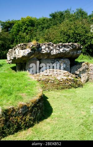 Tinkinswood sepoltura camera, St Nicholas,Vale of Glamorgan, South Wales, Regno Unito. Foto Stock