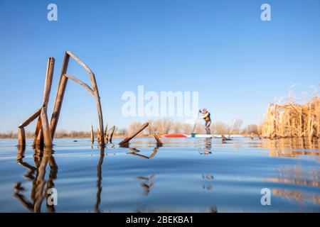 Vista del lago con canne e paddleboard in piedi, scenario primaverile in Colorado, attività ricreative, fitness e formazione Foto Stock