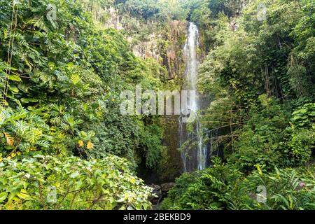 Lussureggianti cascate di Wailua lungo la strada per Hana a Maui, Hawaii Foto Stock