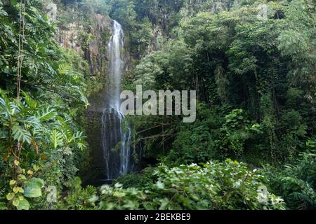Lussureggianti cascate di Wailua lungo la strada per Hana a Maui, Hawaii Foto Stock