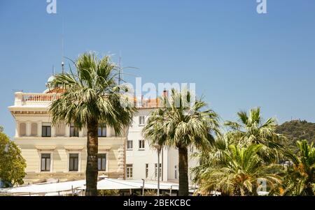 Palm Tree e di vecchi edifici a Riva street a Split, Croazia Foto Stock