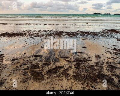 BINTAN, INDONESIA – 7 MAR 2020 – le palline di tarsico e i fanghi di petrolio provenienti da fuoriuscite di petrolio marino si lavano sulla spiaggia di Lagoi causando inquinamento ambientale Foto Stock