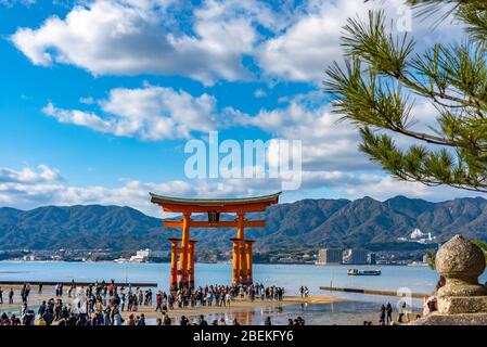 Galleggianti rosso gigante porta Grand o-Torii si trova nella baia di Miyajima spiaggia a bassa marea in giorno di sole. Capodanno nel Santuario di Itsukushima Foto Stock