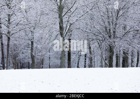 Inverno in Tennessee Foto Stock