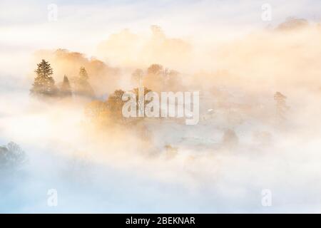 Tarn Foot Farm sotto il fianco di Loughrigg è inghiottito nel riflusso e flusso di un'inversione di temperatura nebbia come il sole che sale accende la nebbia. Foto Stock