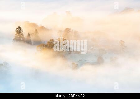 Tarn Foot Farm sotto il fianco di Loughrigg è inghiottito nel riflusso e flusso di un'inversione di temperatura nebbia come il sole che sale accende la nebbia. Foto Stock