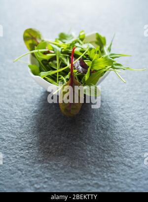 insalata di uova in camicia e foglie di rucola mangold Foto Stock