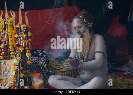 naga sadhu godendo di fumare al campo di transito di ganga sagar kolkata bengala ovest india Foto Stock