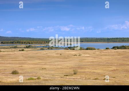 Vista sul Store Mosse Nationalpark, parco nazionale di Småland, nel sud della Svezia Foto Stock