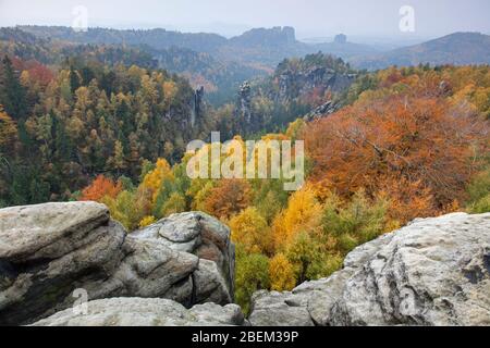 Vista da Carolafelsen al Großer Dom / Grossen Dom, Elbe arenaria Montagne, Sassonia Svizzera NP, Sassonia, Germania Foto Stock