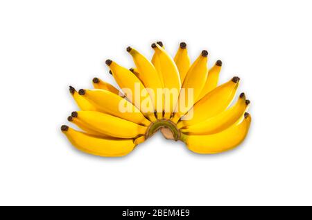 Isolato Lebmuernang banana bello giallo su uno sfondo bianco con sentiero di ritaglio. Foto Stock