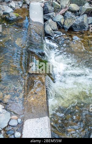 L'acqua fluente sembra essere un vetro a Des Moines Creek nello stato di Washington. Foto Stock