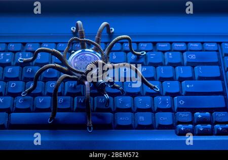 Spider sulla tastiera del computer, virus, tema della sicurezza delle informazioni Foto Stock