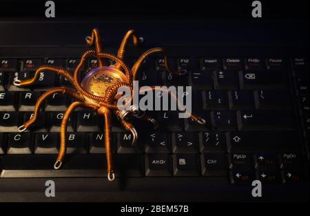 Spider sulla tastiera del computer, virus, tema della sicurezza delle informazioni Foto Stock