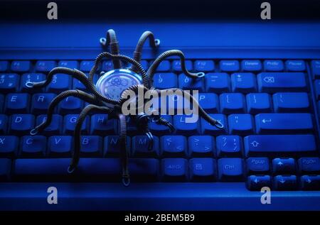 Spider sulla tastiera del computer, virus, tema della sicurezza delle informazioni Foto Stock