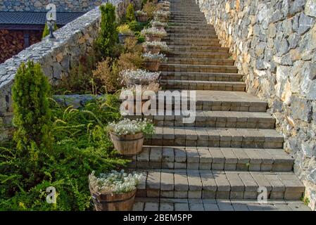 Vecchia scala in mattoni, bella per camminare accanto alle piante e alla natura, scalate in pietra o cemento, idee di decorazione esterna Foto Stock