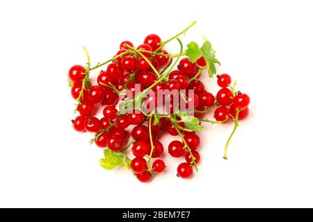 Manciata di ribes rossi mature primo piano isolato su bianco Foto Stock
