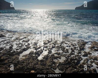 Alghe verdi marroni su una riva rocciosa. Frangiflutti muschio in acque di mare tempestose. Spiaggia con alghe, pietre e conchiglie. Foto Stock