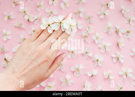 Fiori bianchi in mano su sfondo rosa. Inserire il testo. Disposizione piatta Foto Stock