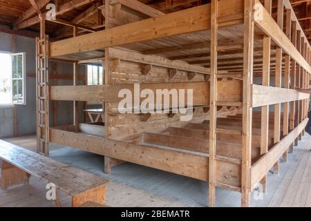 Letti a castello all'interno dell'edificio della baracca (sia l'edificio che i letti ricostruiti) all'interno dell'ex campo di concentramento nazista di Dachau, Monaco, Germania. Foto Stock