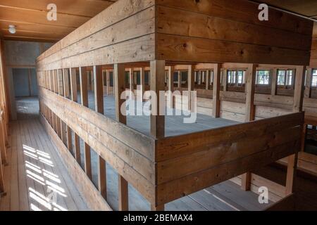 Letti a castello all'interno dell'edificio della baracca (sia l'edificio che i letti ricostruiti) all'interno dell'ex campo di concentramento nazista di Dachau, Monaco, Germania. Foto Stock